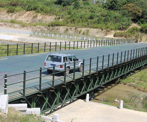 �ϳ�ʽ����